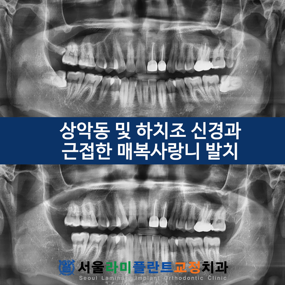 동탄치과